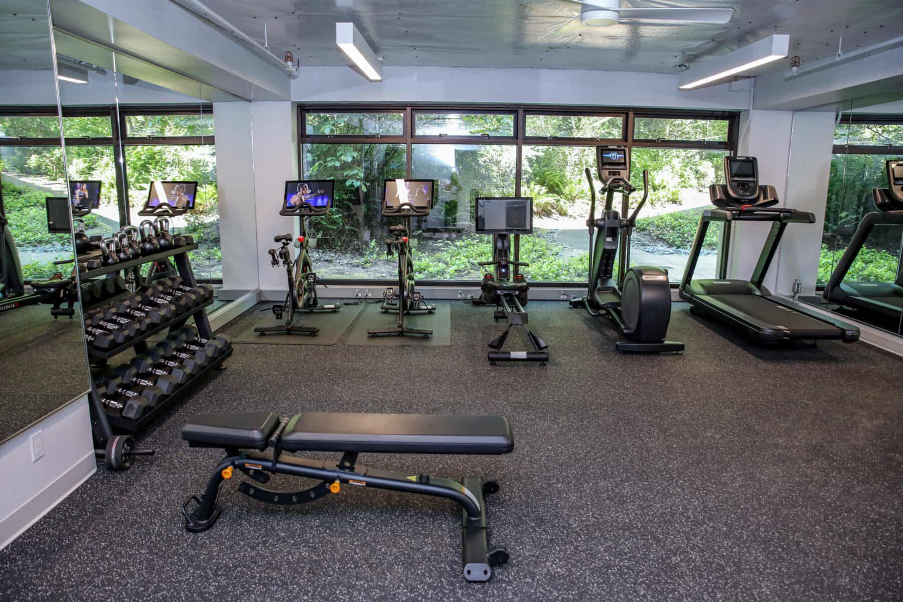 Како да се избере вистинската кардио опрема?